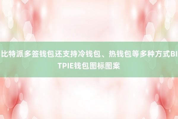 比特派多签钱包还支持冷钱包、热钱包等多种方式BITPIE钱包图标图案