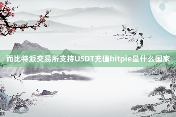 而比特派交易所支持USDT充值bitpie是什么国家