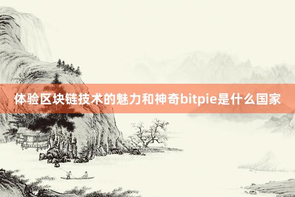 体验区块链技术的魅力和神奇bitpie是什么国家