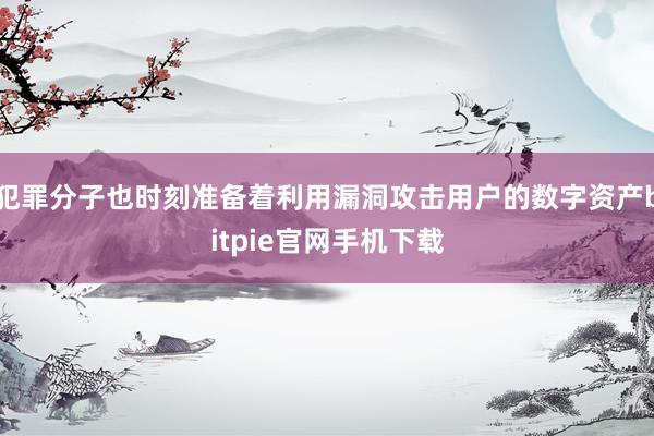 犯罪分子也时刻准备着利用漏洞攻击用户的数字资产bitpie官网手机下载