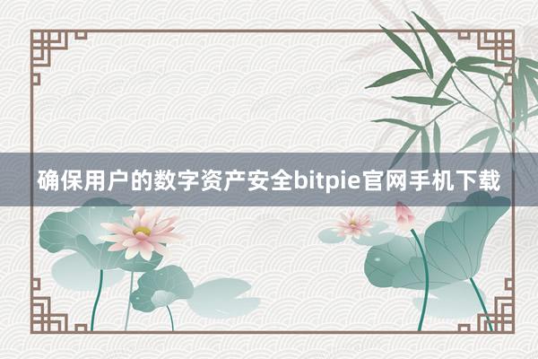 确保用户的数字资产安全bitpie官网手机下载