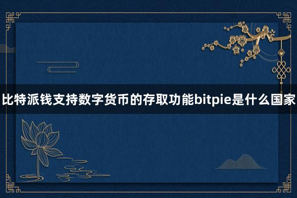 比特派钱支持数字货币的存取功能bitpie是什么国家