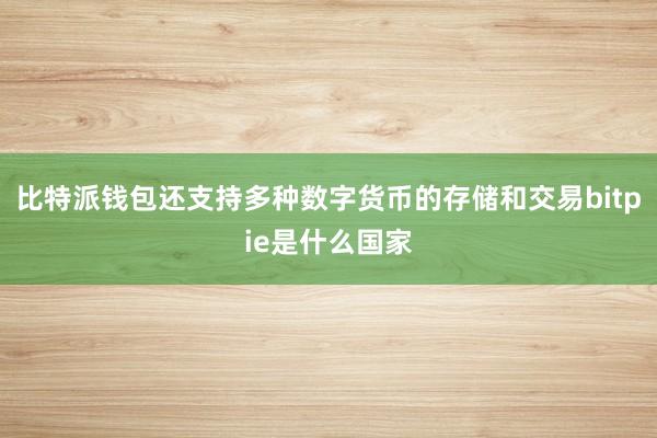 比特派钱包还支持多种数字货币的存储和交易bitpie是什么国家