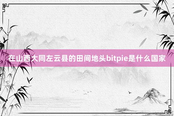 在山西大同左云县的田间地头bitpie是什么国家