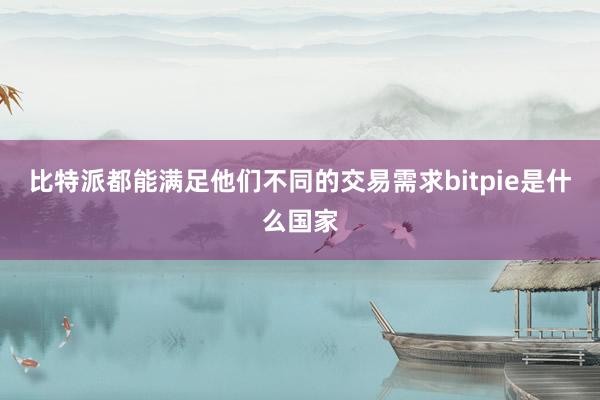 比特派都能满足他们不同的交易需求bitpie是什么国家