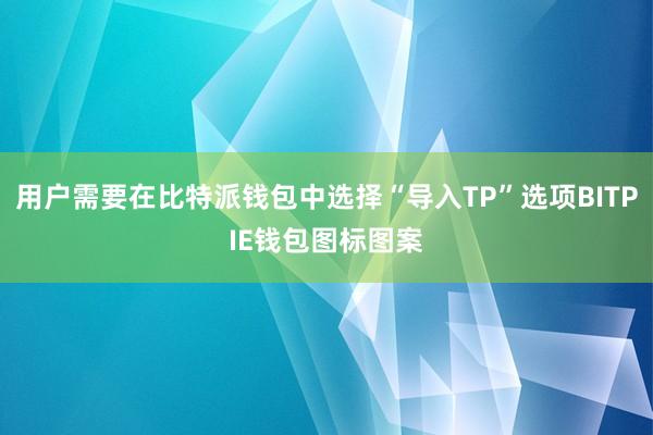 用户需要在比特派钱包中选择“导入TP”选项BITPIE钱包图标图案