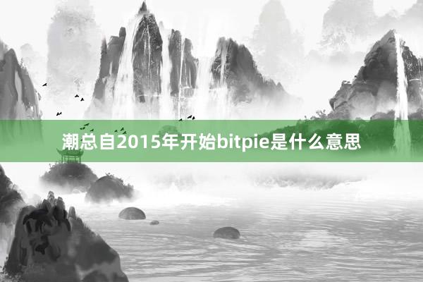 潮总自2015年开始bitpie是什么意思