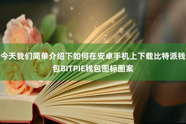 今天我们简单介绍下如何在安卓手机上下载比特派钱包BITPIE钱包图标图案