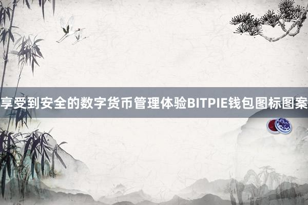 享受到安全的数字货币管理体验BITPIE钱包图标图案