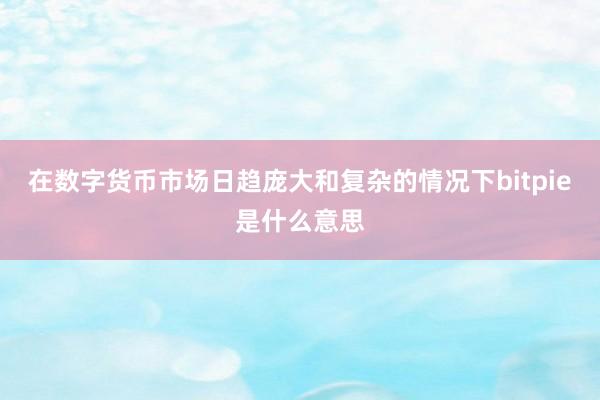 在数字货币市场日趋庞大和复杂的情况下bitpie是什么意思