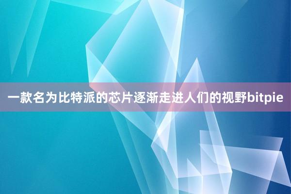 一款名为比特派的芯片逐渐走进人们的视野bitpie