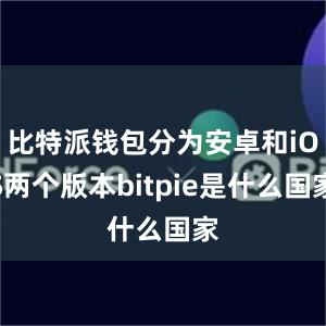 比特派钱包分为安卓和iOS两个版本bitpie是什么国家