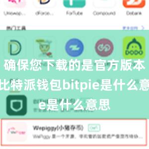 确保您下载的是官方版本的比特派钱包bitpie是什么意思