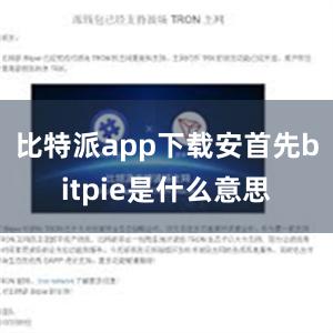 比特派app下载安首先bitpie是什么意思