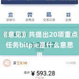 《意见》共提出20项重点任务bitpie是什么意思