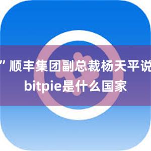 ”顺丰集团副总裁杨天平说bitpie是什么国家