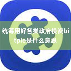 统筹用好各类政府投资bitpie是什么意思