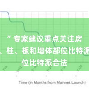 ”专家建议重点关注房屋梁、柱、板和墙体部位比特派合法