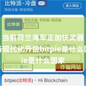 当前荷兰海军正加快武器装备现代化升级bitpie是什么国家