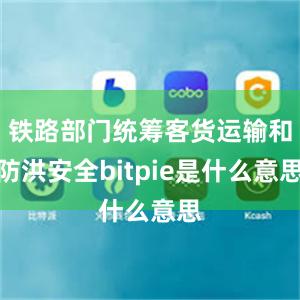 铁路部门统筹客货运输和防洪安全bitpie是什么意思